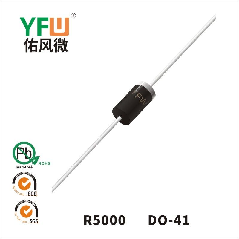 R5000 DO-41普通整流二極管 YFW佑風微原廠